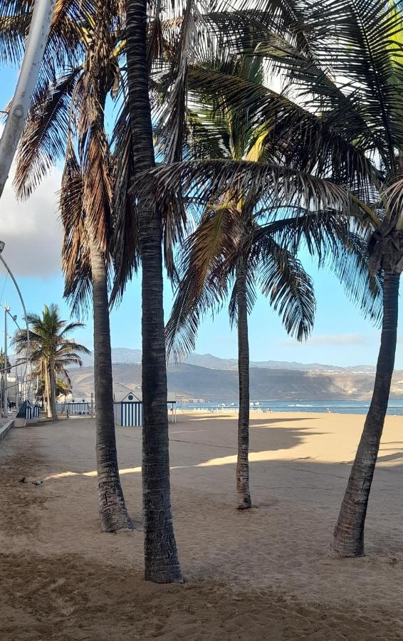 Apartmán Chez Frois Las Palmas de Gran Canaria Exteriér fotografie